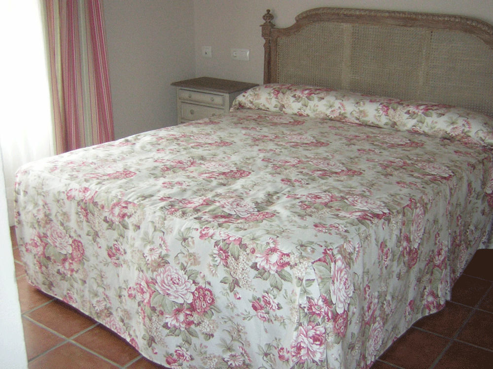 La Casona De Dona Petra Hotel Villarmentero de Campos Luaran gambar